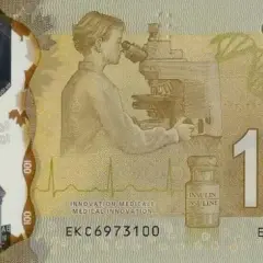 Jaką walutę w Kanadzie warto znać? Oto wszystko, co musisz wiedzieć