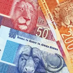 Zwierzęta z afrykańskiej sawanny zdobią banknoty – lew, lampart i bawół. To waluta RPA.