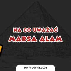Urocza postać faraona ostrzega: na co uważać w Marsa Alam. Słońce, palma i piramida w tle.