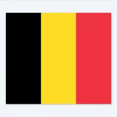 Jaka waluta jest w Belgii? Sprawdź, co musisz wiedzieć przed podróżą