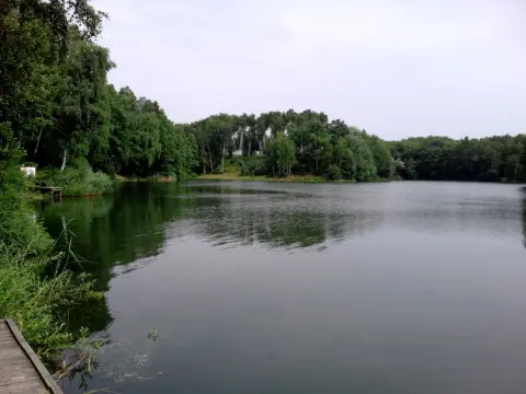 Jezioro Czechowickie: Idealne miejsce na relaks i wędkowanie w Gliwicach