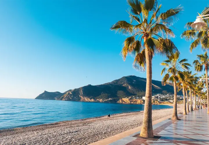 Promenada z palmami nad morzem w Alicante. Idealna temperatura wody zachęca do kąpieli.
