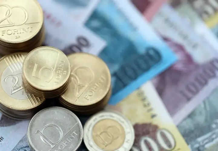 Stos monet i banknotów. Widać monety 5, 10 i 20 forintów. Jaka waluta na Węgrzech? Forint.