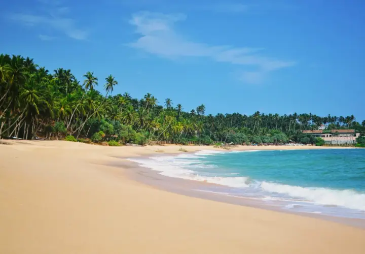Rajskie Sri Lanka plaże z palmami i turkusową wodą. Idealne miejsce na relaks.