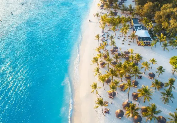 Rajska plaża na Zanzibarze w czerwcu. Słońce, palmy i turkusowa woda tworzą idealną pogodę na wakacje.