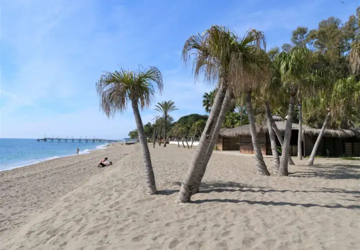 Piękny marbella beach z palmami, piaskiem i błękitnym niebem. W oddali widać molo i kilka osób odpoczywających na plaży.