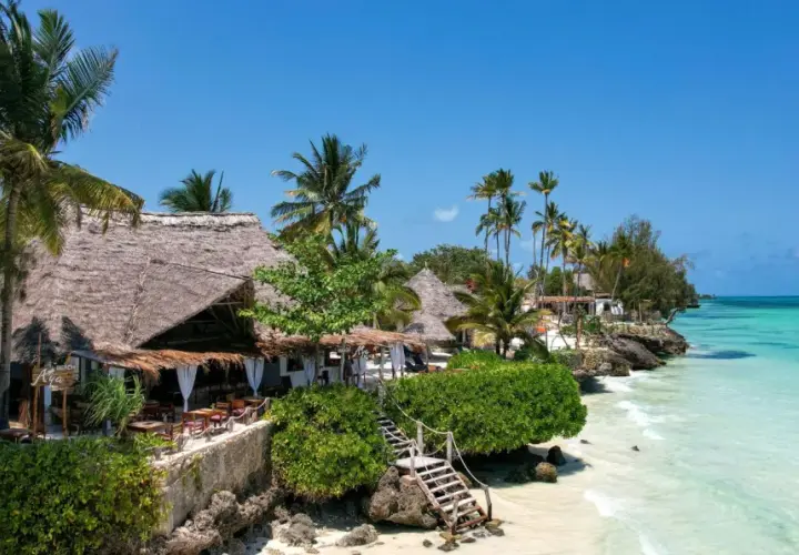 Rajskie plaże i palmy na Zanzibarze w marcu. Tropikalny kurort z widokiem na turkusowe morze.
