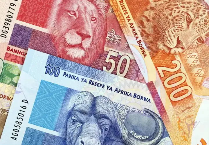 Zwierzęta z afrykańskiej sawanny zdobią banknoty – lew, lampart i bawół. To waluta RPA.
