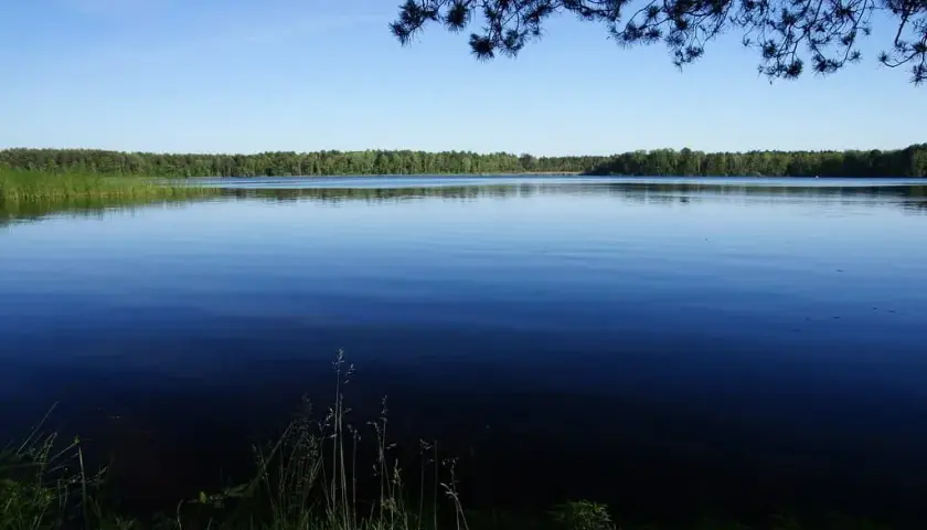 Jezioro Czerskie - ukryte skarby przyrody i atrakcje rekreacyjne
