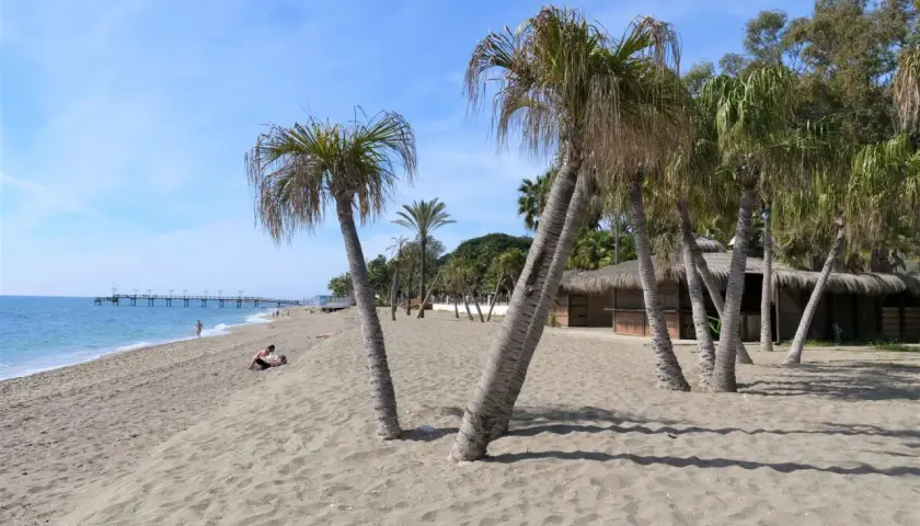 Piękny marbella beach z palmami, piaskiem i błękitnym niebem. W oddali widać molo i kilka osób odpoczywających na plaży.