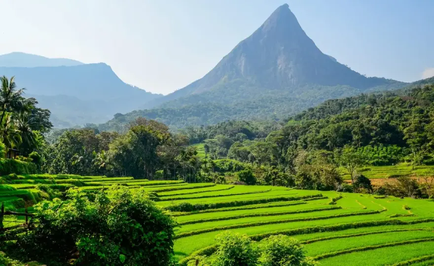 Sri Lanka w lipcu - Jak zaplanować wyjazd i uniknąć deszczu?
