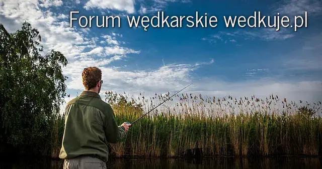 Opinie o jeziorze Rozkoś w Czechach: co warto wiedzieć przed wizytą