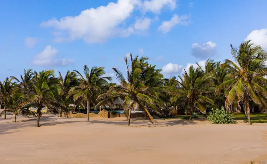 Plaże Kenii - Którą wybrać? Diani, Watamu, Lamu i inne!