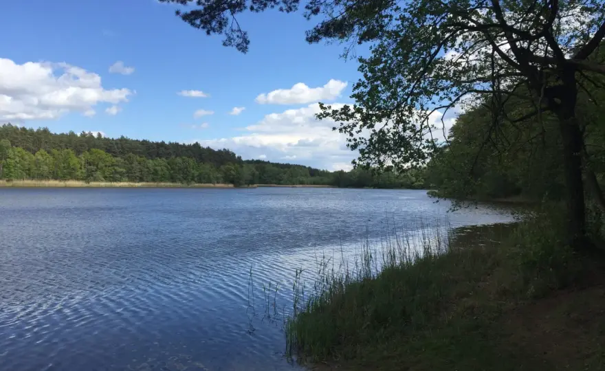 Zezwolenie na wędkowanie w jeziorze Tuczno - poznaj koszty i zasady