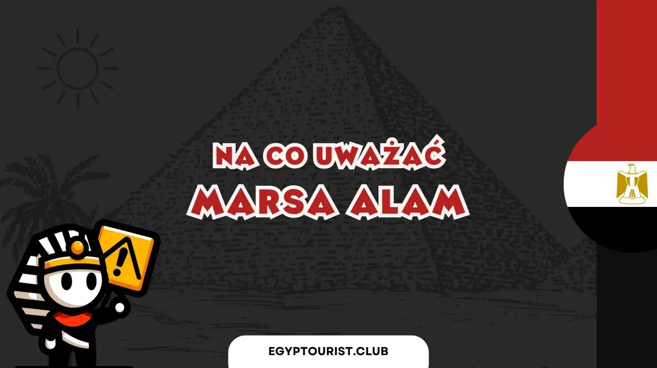 Urocza postać faraona ostrzega: na co uważać w Marsa Alam. Słońce, palma i piramida w tle.