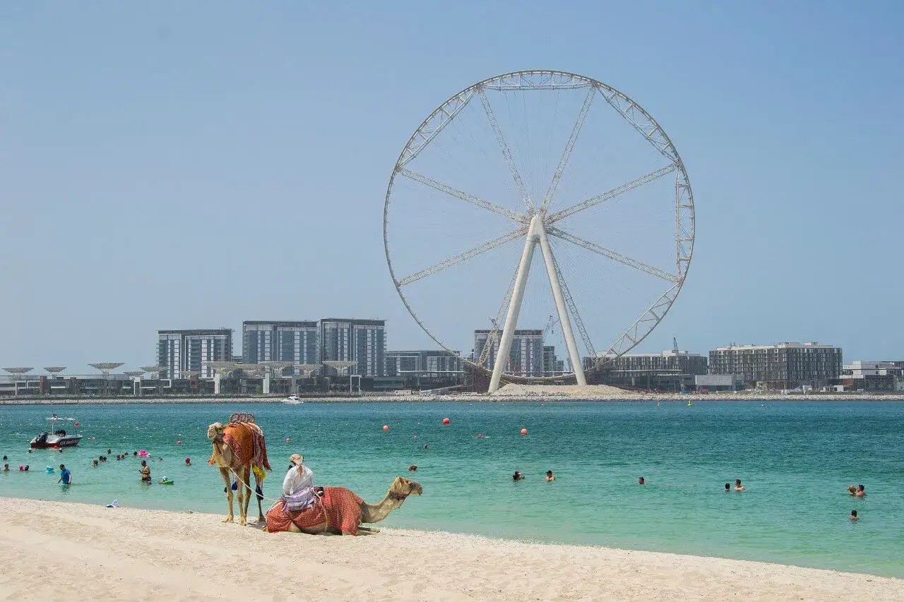 Sytuacja w Dubaju: wielkie koło widokowe góruje nad plażą, gdzie ludzie kąpią się w morzu, a na piasku odpoczywają wielbłądy.
